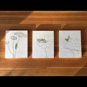 Series of insect prints.